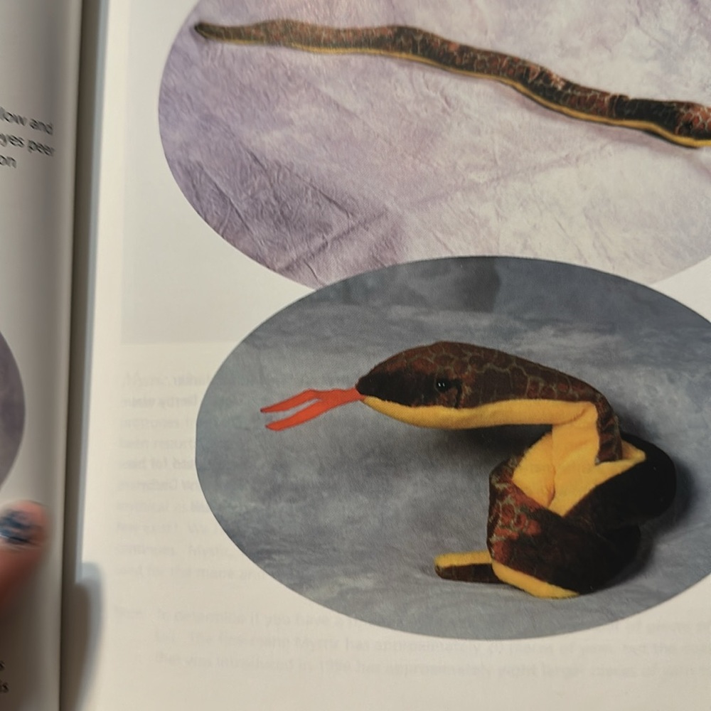 Book - Picture 3 of 5